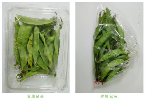 微5.jpg