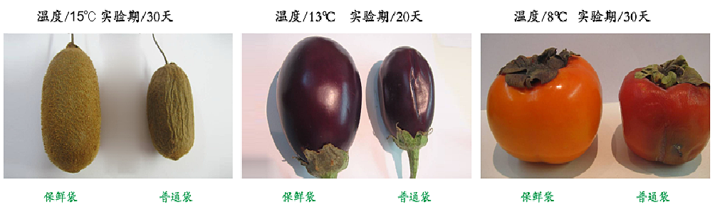 640 (3).png