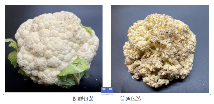 微信截图_20220424094912.png
