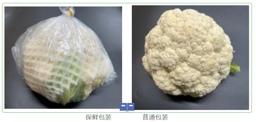 37天的鲜艳夺目---花椰菜保鲜记