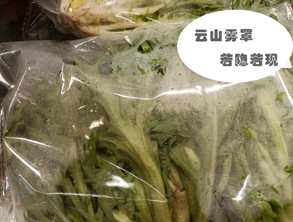 为防雾“袋”言，乐享购物
