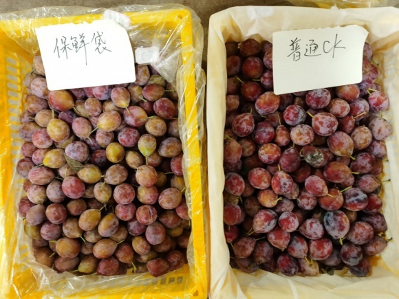 微信图片_20221008112539.png