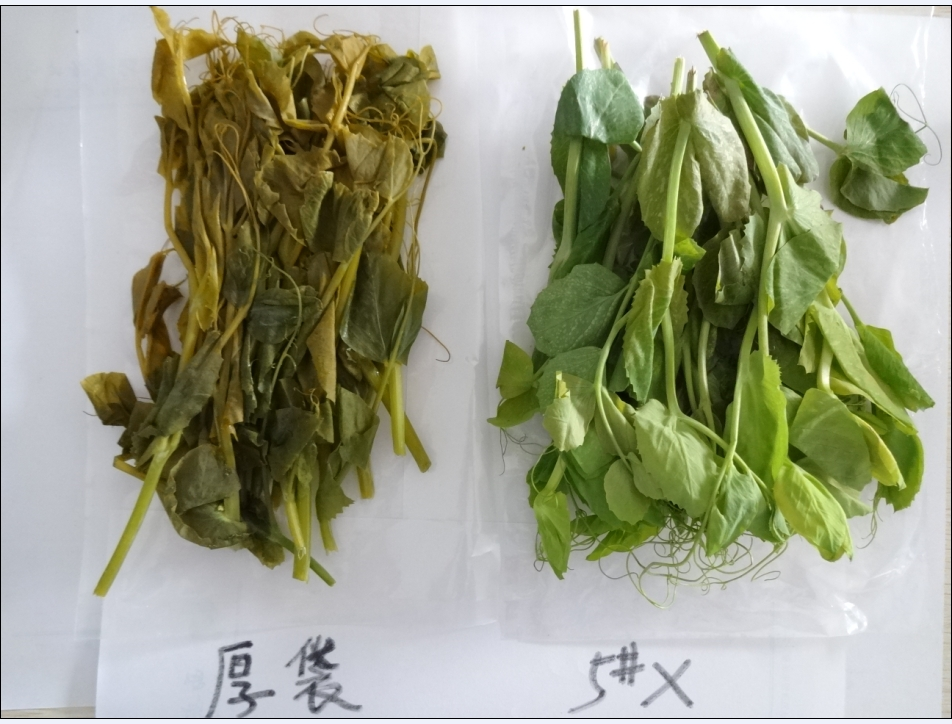 微信图片_20221108090809.png
