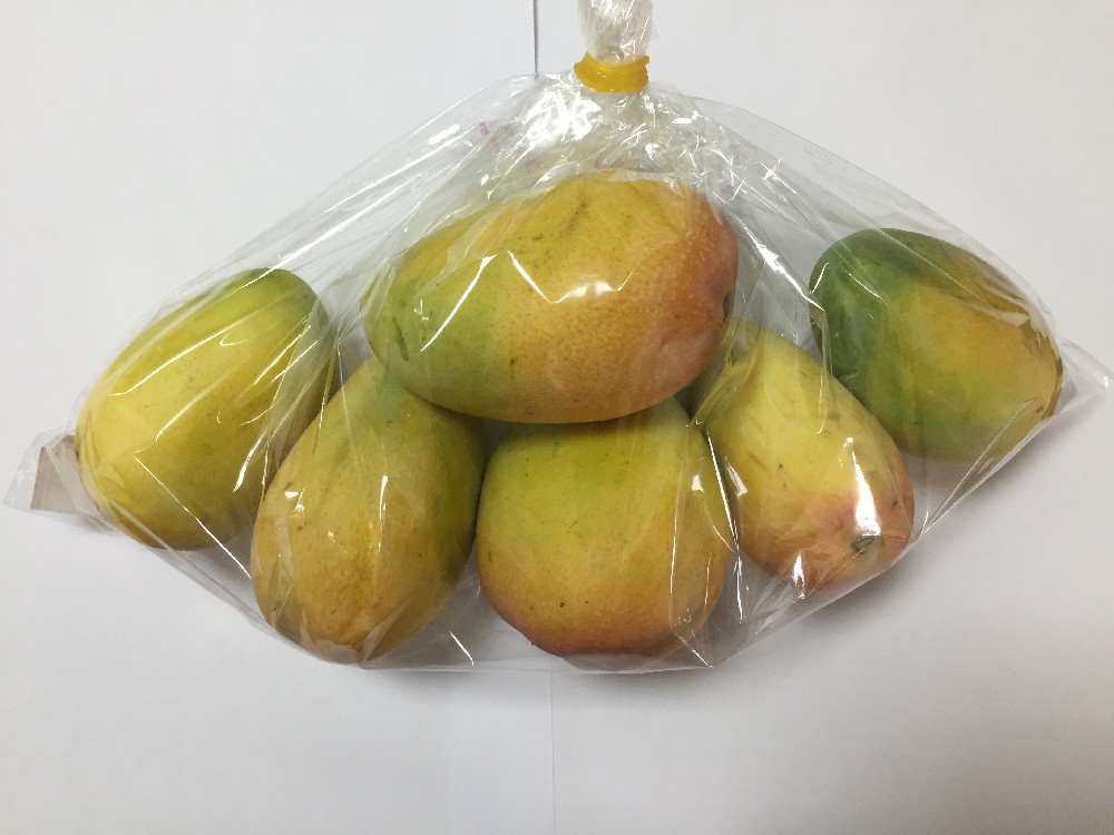 芒果采后贮藏与保鲜