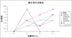 蔬菜保鲜包装：豌豆尖保鲜试验总结